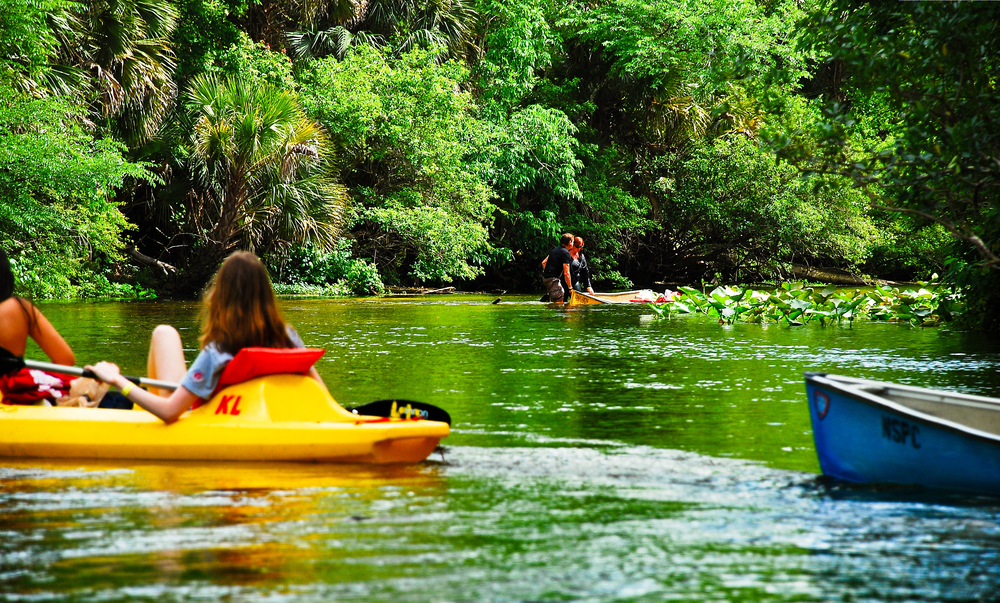 Kayaking at Emerald Cut in Apopko Florida