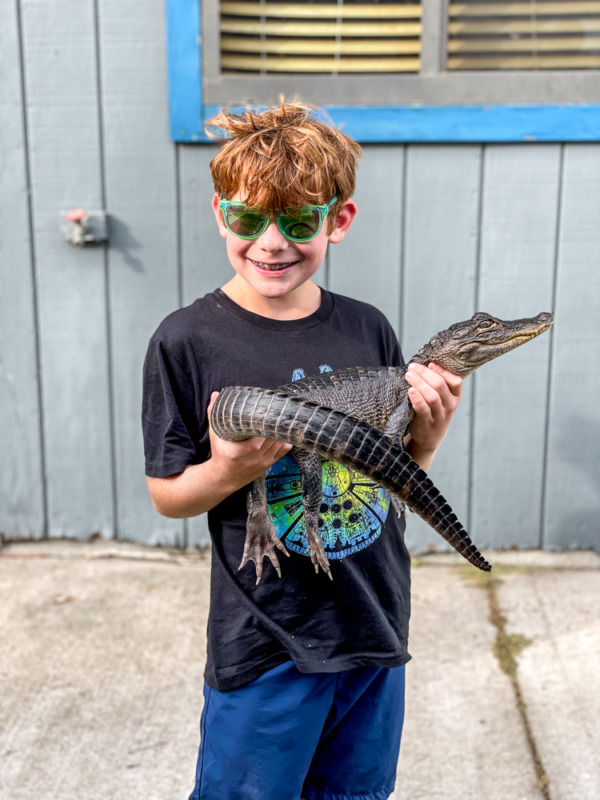 Boy in sunglasses holding baby alligator after airboat tour near Orlando Florida