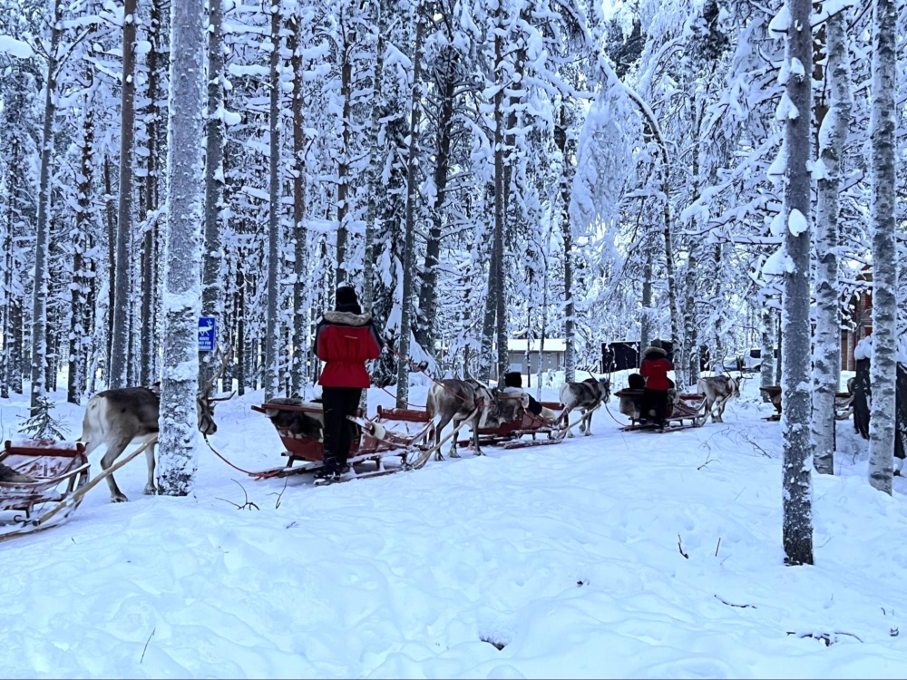 lapland day trip itinerary