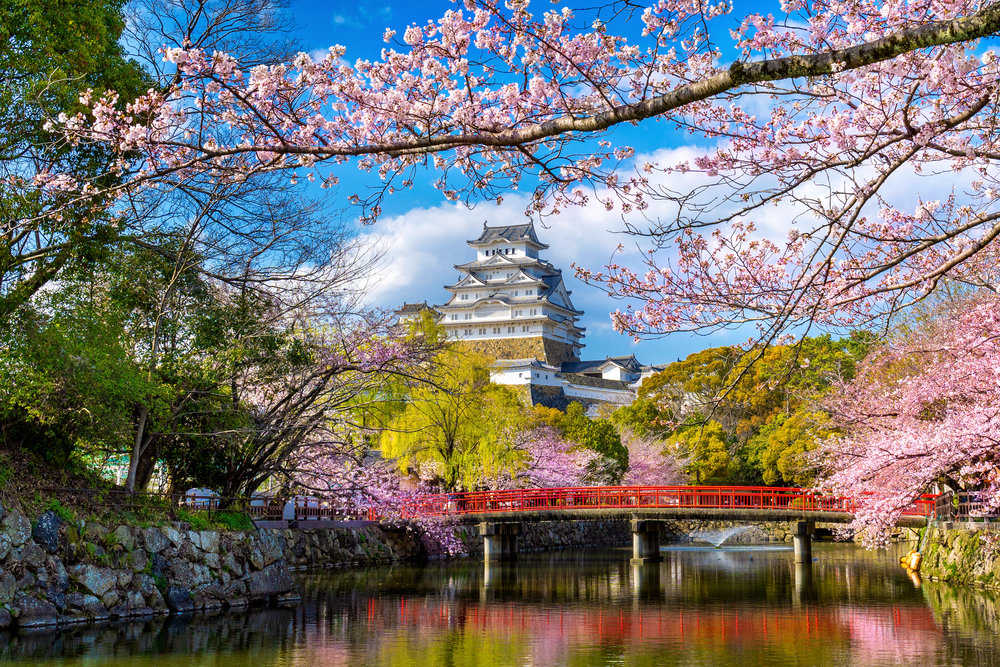 family tours in japan