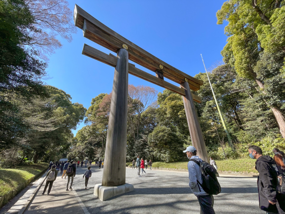 tokyo tour toddler