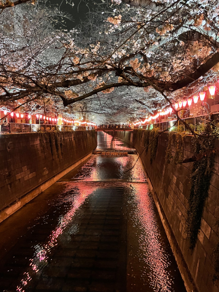 family tours in japan