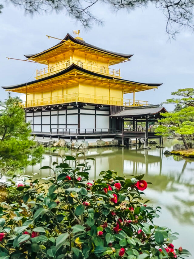 Essential Japan Itinerary 10 Days of FamilyFriendly Travel (Plus Optional Extension) The