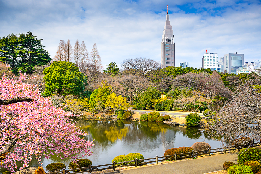 travel tokyo with family