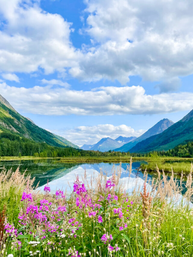 tern-lake-alaska-1