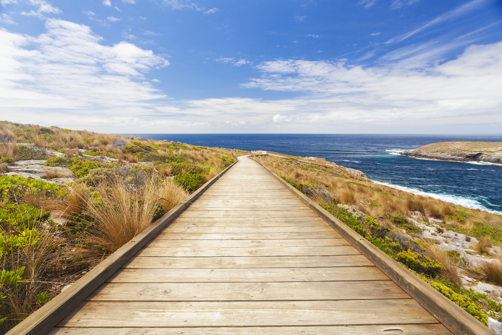 tour guide jobs kangaroo island