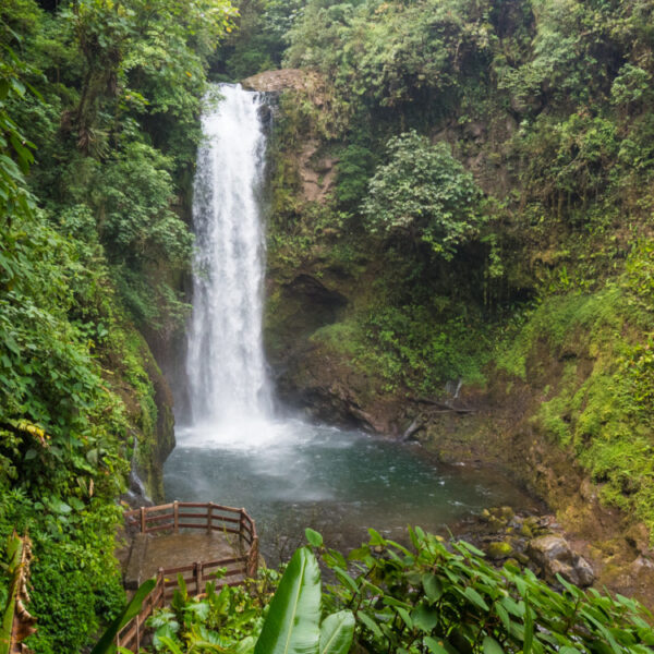 Exploring Costa Rica’s Central Valley: Day Trip from San Jose