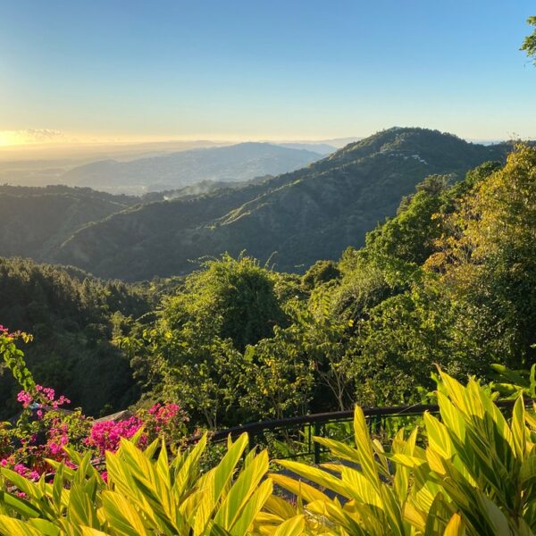 The 15 Best Things to do in El Yunque National Forest